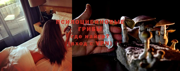 бошки Абаза