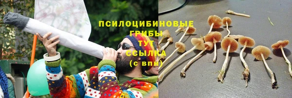 ECSTASY Алексин